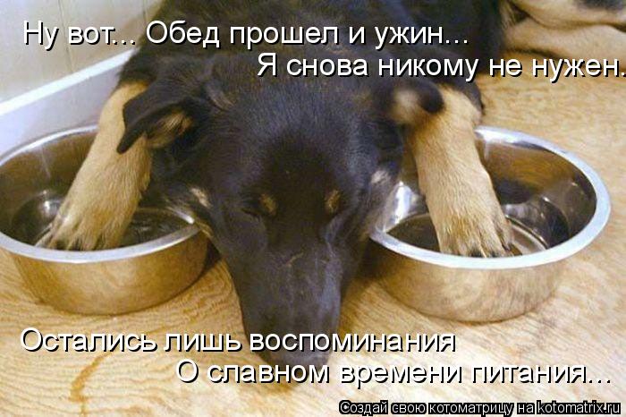 Ну вот... Обед прошел и ужин... Я снова никому не нужен. Остались лишь воспоминания О славном времени... Котоматрица: Ну вот... Обед прошел и ужин... Я снова никому не нужен. Остались лишь воспоминания О славном времени питания...