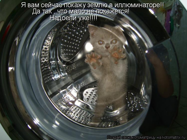 Котоматрица: Я вам сейчас покажу землю в иллюминаторе!! Да так , что мало не покажется! Надоели уже!!!!