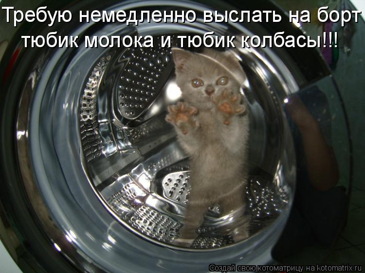 Котоматрица: Требую немедленно выслать на борт тюбик молока и тюбик колбасы!!!