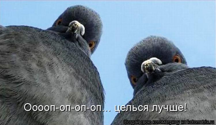 Котоматрица: Ооооп-оп-оп-оп... целься лучше!