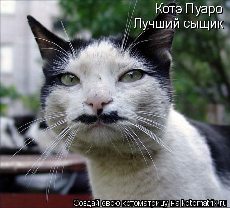 Котоматрица: Котэ Пуаро Лучший сыщик
