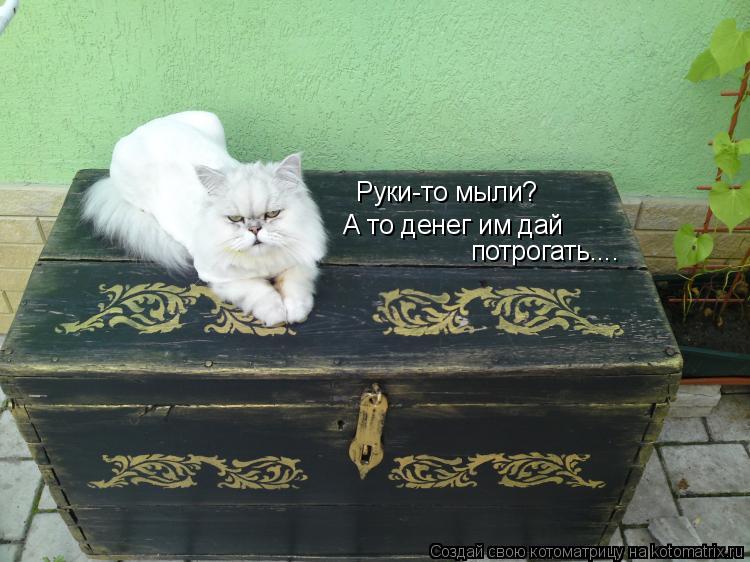 Котоматрица: Руки-то мыли? А то денег им дай  потрогать....
