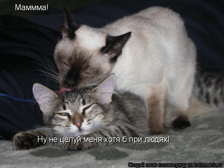 Котоматрица: Маммма! Ну не целуй меня хотя б при людях!