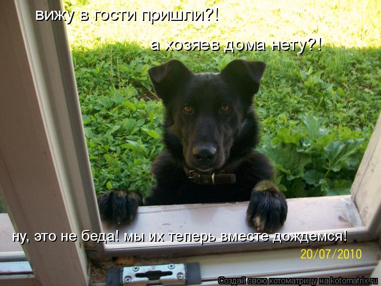 Котоматрица: вижу в гости пришли?! а хозяев дома нету?! ну, это не беда! мы их теперь вместе дождемся!
