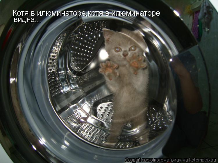Котоматрица: Котя в илюминаторе,котя в илюминаторе видна...