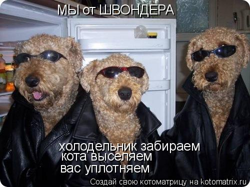 МЫ от ШВОНДЕРА холодельник забираем кота выселяем вас уплотняем... Котоматрица: МЫ от ШВОНДЕРА холодельник забираем кота выселяем вас уплотняем