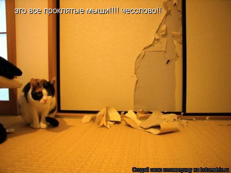 Котоматрица: это все проклятые мыши!!!! чесслово!!