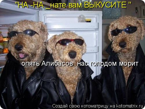 "НА -НА _нате вам ВЫКУСИТЕ " опять Алибасов нас голодом морит... Котоматрица: "НА -НА _нате вам ВЫКУСИТЕ " опять Алибасов нас голодом морит