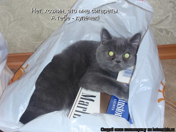 Котоматрица: Нет, хозяин, это мне сигареты. А тебе - кулёчек!