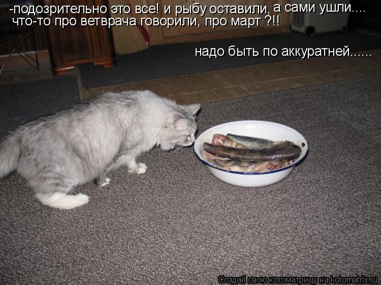 Котоматрица: -подозрительно это все! и рыбу оставили,  а сами ушли.... что-то про ветврача говорили, про март ?!! надо быть по аккуратней......