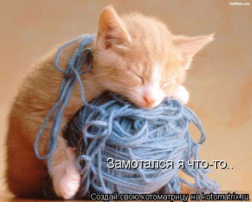 Котоматрица: Замотался я что-то..