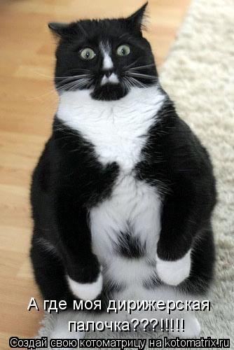Котоматрица: А где моя дирижерская  палочка???!!!!!