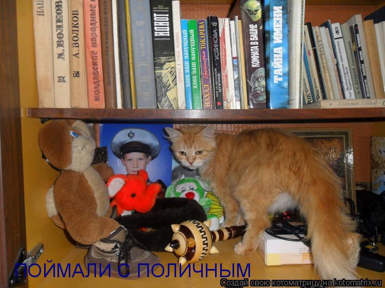 Котоматрица: ПОЙМАЛИ С ПОЛИЧНЫМ