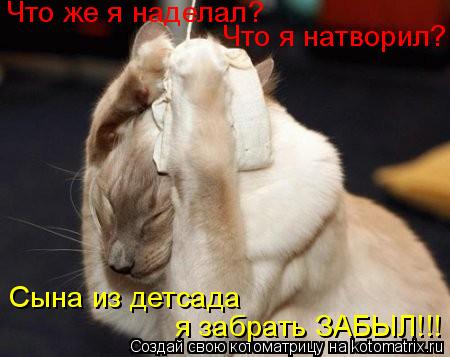Котоматрица: Что же я наделал? Что я натворил? Сына из детсада я забрать ЗАБЫЛ!!!