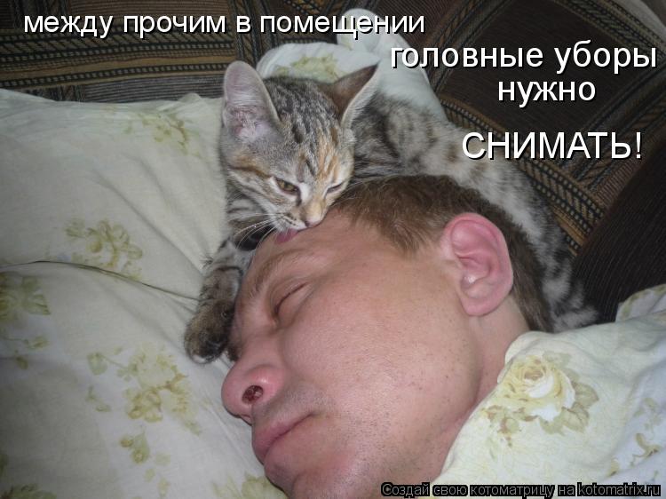 Котоматрица: между прочим в помещении головные уборы нужно СНИМАТЬ!