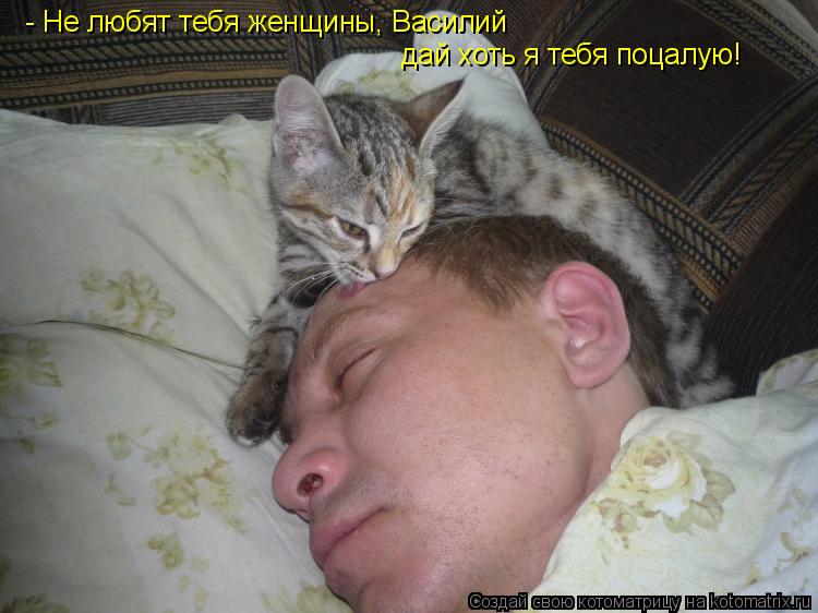 - Не любят тебя женщины, Василий дай хоть я тебя поцалую!... Котоматрица: - Не любят тебя женщины, Василий дай хоть я тебя поцалую!