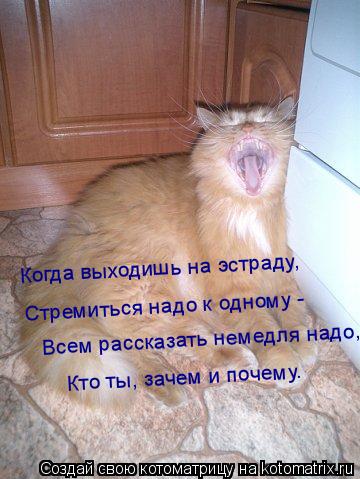 Котоматрица: Когда выходишь на эстраду, Стремиться надо к одному - Всем рассказать немедля надо, Кто ты, зачем и почему.