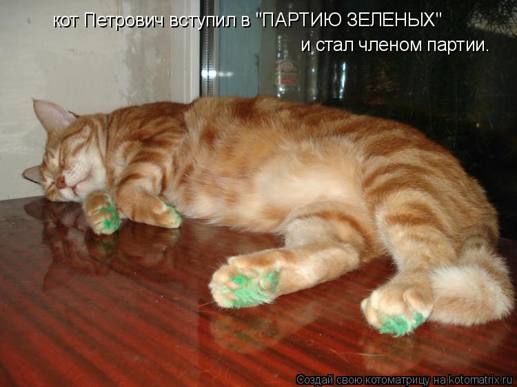 Котоматрица: кот Петрович вступил в "ПАРТИЮ ЗЕЛЕНЫХ" и стал членом партии.