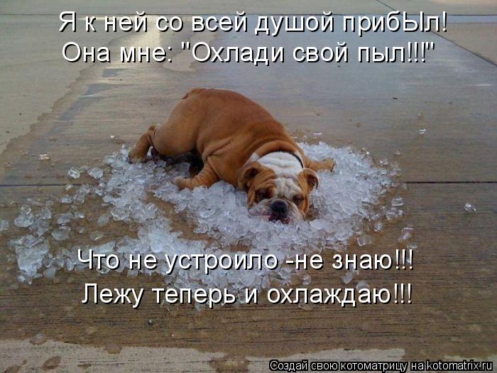 Я к ней со всей душой прибЫл! Я к ней со всей душой прибЫл! Она мне: "Охлади свой пыл!!!" Что не устр... Котоматрица: Я к ней со всей душой прибЫл! Я к ней со всей душой прибЫл! Она мне: "Охлади свой пыл!!!" Что не устроило -не знаю!!! Лежу теперь и охлаждаю!!!