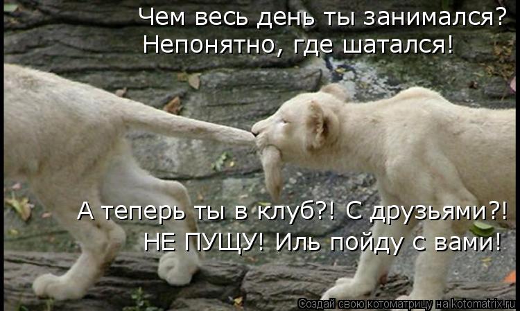 Заниматься днём пойдешь Заниматься днём пойдешь