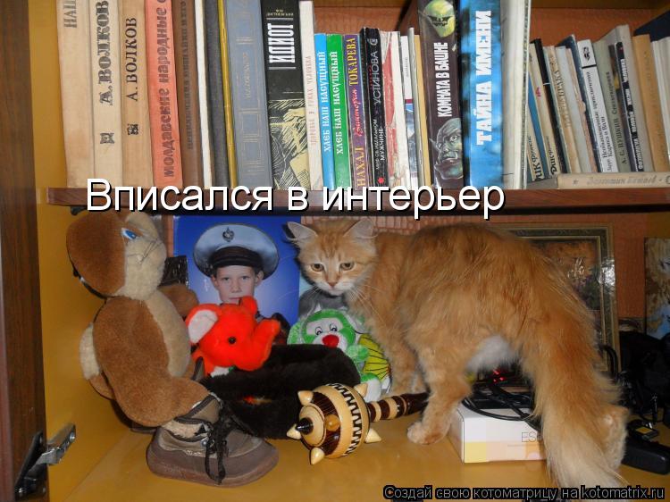 Вписался в интерьер... Котоматрица: Вписался в интерьер
