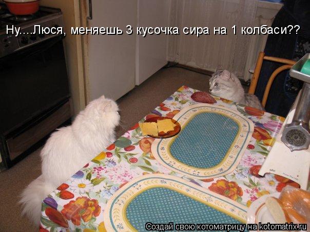 Ну....Люся, меняешь 3 кусочка сира на 1 колбаси??... Котоматрица: Ну....Люся, меняешь 3 кусочка сира на 1 колбаси??