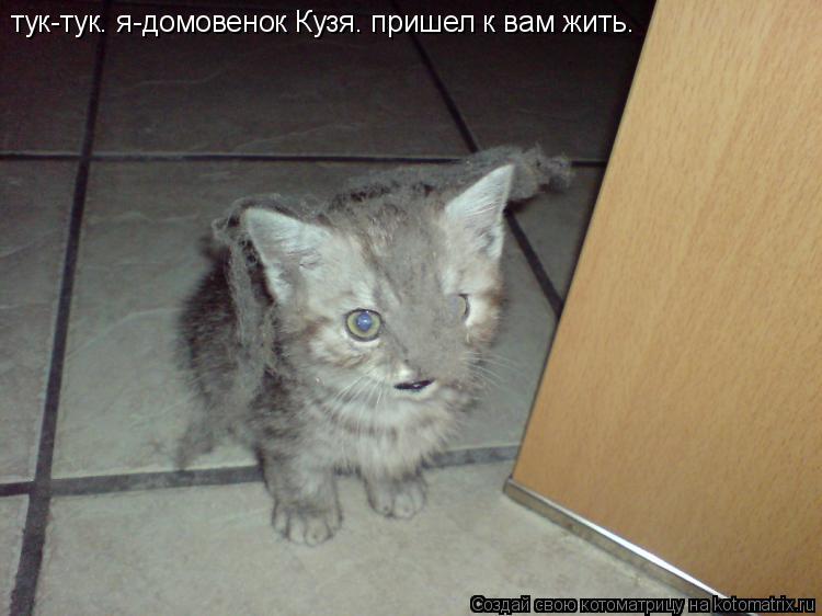 тук-тук. я-домовенок Кузя. пришел к вам жить.... Котоматрица: тук-тук. я-домовенок Кузя. пришел к вам жить.