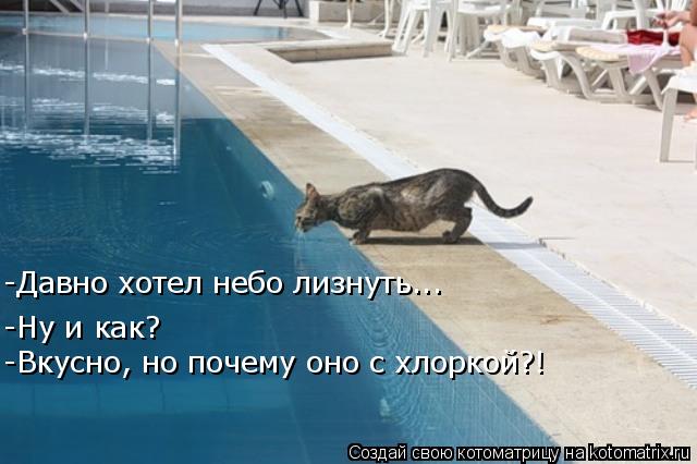 -Давно хотел небо лизнуть... -Ну и как? -Вкусно, но почему оно с хлоркой?!... Котоматрица: -Давно хотел небо лизнуть... -Ну и как? -Вкусно, но почему оно с хлоркой?!