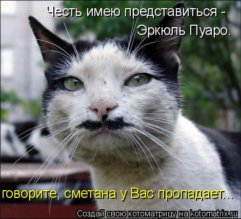 Честь имею представиться - Эркюль Пуаро. говорите, сметана у Вас пропадает...... Котоматрица: Честь имею представиться - Эркюль Пуаро. говорите, сметана у Вас пропадает...