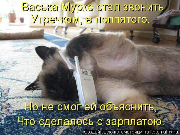 Васька Мурке стал звонить Утречком, в полпятого. Но не смог ей объяснить, Что сделалось с зарплатою.... Котоматрица: Васька Мурке стал звонить Утречком, в полпятого. Но не смог ей объяснить, Что сделалось с зарплатою.