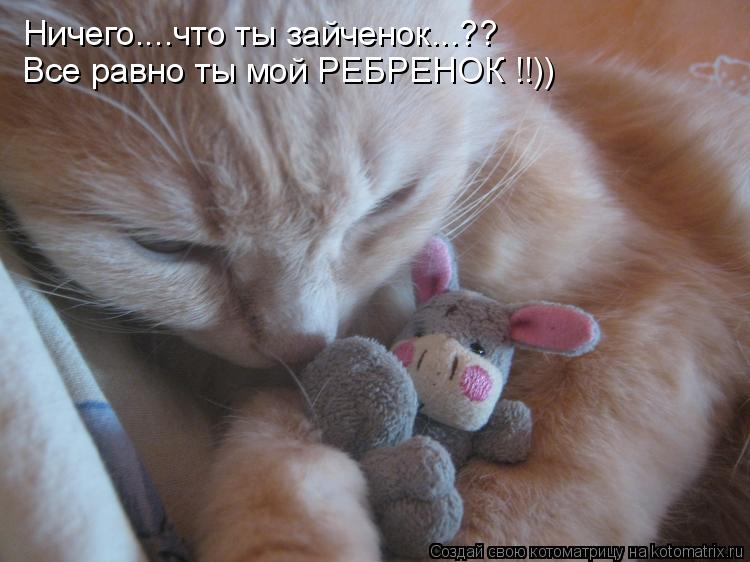 Ничего....что ты зайченок...?? Все равно ты мой РЕБРЕНОК !!))... Котоматрица: Ничего....что ты зайченок...?? Все равно ты мой РЕБРЕНОК !!))