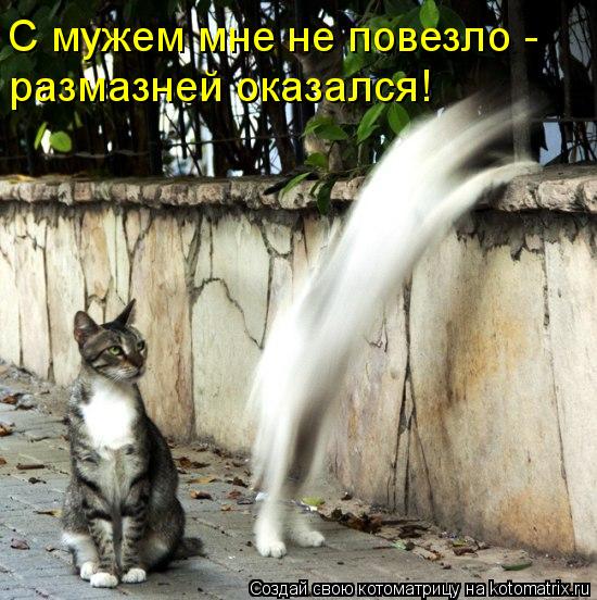С мужем мне не повезло - размазней оказался!... Котоматрица: С мужем мне не повезло - размазней оказался!