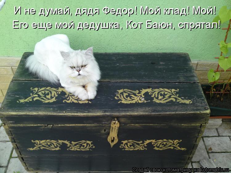 И не думай, дядя Федор! Мой клад! Мой! Его еще мой дедушка, Кот Баюн, спрятал!... Котоматрица: И не думай, дядя Федор! Мой клад! Мой! Его еще мой дедушка, Кот Баюн, спрятал!