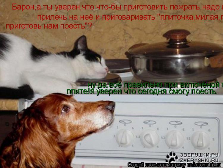 Барон,а ты уверен,что что-бы приготовить пожрать надо прилечь на неё и приговаривать "плиточка,милая,... Котоматрица: Барон,а ты уверен,что что-бы приготовить пожрать надо прилечь на неё и приговаривать "плиточка,милая,приготовь нам поесть"? прилечь на неё и