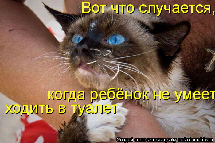 Вот что случается,когда ребёнок не умеет ходить в туалет когда ребёнок не умеет ходить в туалет ходит... Котоматрица: Вот что случается,когда ребёнок не умеет ходить в туалет когда ребёнок не умеет ходить в туалет ходить в туалет