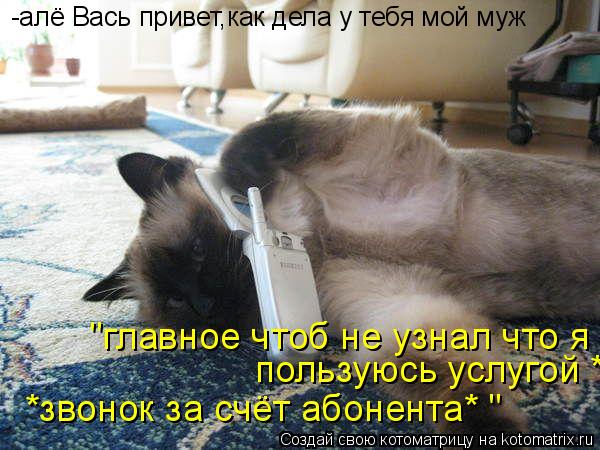 -алё Вась привет,как дела у тебя мой муж "главное чтоб не узнал что я пользуюсь услугой *звонок за сч... Котоматрица: -алё Вась привет,как дела у тебя мой муж "главное чтоб не узнал что я пользуюсь услугой *звонок за счёт абонента* " пользуюсь услугой *звонок з