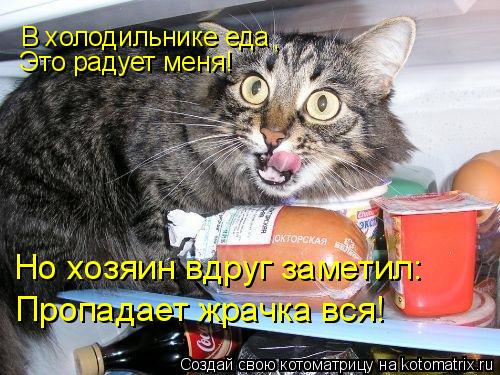 В холодильнике еда , Это радует меня! Но хозяин вдруг заметил: Пропадает жрачка вся!... Котоматрица: В холодильнике еда , Это радует меня! Но хозяин вдруг заметил: Пропадает жрачка вся!