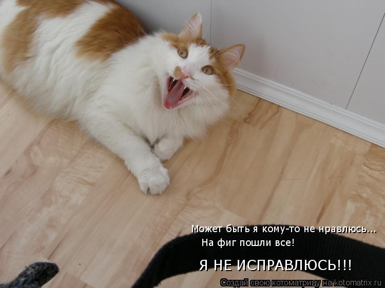 Я НЕ ИСПРАВЛЮСЬ!!! Может быть я кому-то не нравлюсь... На фиг пошли все!... Котоматрица: Я НЕ ИСПРАВЛЮСЬ!!! Может быть я кому-то не нравлюсь... На фиг пошли все!