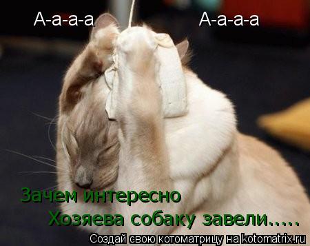 А-а-а-а А-а-а-а Зачем интересно Хозяева собаку завели........ Котоматрица: А-а-а-а А-а-а-а Зачем интересно Хозяева собаку завели.....