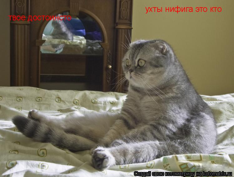 ухты нифига это кто твое достоинсто... Котоматрица: ухты нифига это кто твое достоинсто