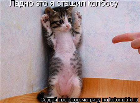 Ладно это я стащил колбосу... Котоматрица: Ладно это я стащил колбосу