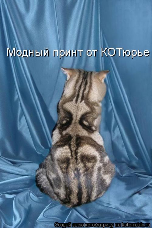 Котоматрица: Модный принт от КОТюрье
