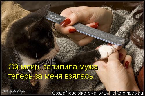 Ой млин..запилила мужа, теперь за меня взялась... Котоматрица: Ой млин..запилила мужа, теперь за меня взялась