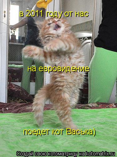 Котоматрица: в 2011 году от нас на евровидение поедет кот Васька)