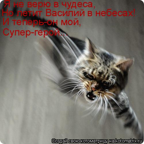 Котоматрица: Я не верю в чудеса, Но летит Василий в небесах! И теперь-он мой, Супер-герой...