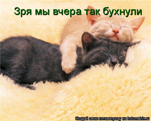 Котоматрица: Зря мы вчера так бухнули
