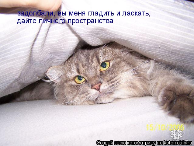 Котоматрица: задолбали, вы меня гладить и ласкать,  дайте личного пространства
