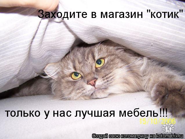 Заходите в магазин "котик" только у нас лучшая мебель!!! только у нас лучшая мебель!!!... Котоматрица: Заходите в магазин "котик" только у нас лучшая мебель!!! только у нас лучшая мебель!!!
