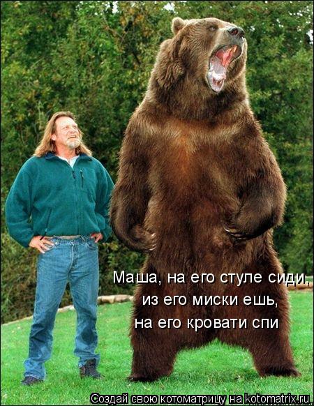 Маша, на его стуле сиди, из его миски ешь, на его кровати спи... Котоматрица: Маша, на его стуле сиди, из его миски ешь, на его кровати спи