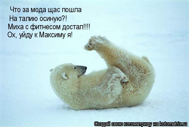 Что за мода щас пошла На талию осиную?! Миха с фитнесом достал!!!! Ох, уйду к Максиму я!... Котоматрица: Что за мода щас пошла На талию осиную?! Миха с фитнесом достал!!!! Ох, уйду к Максиму я!